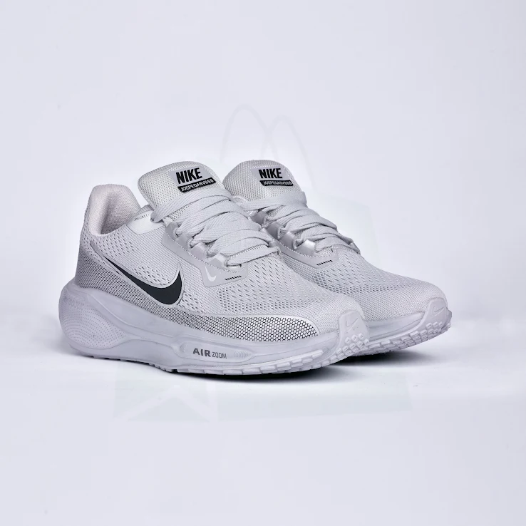 Air Zoom Pegasus 41 Grey Silver